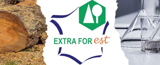 ExtraForEst