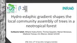 ATBC 2022 - Hydro-edaphic gradient shapes the local community assembly of trees in a neotropical forest