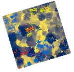 Msc project: A spatial analysis of three tree species at seedling stage on parcel 16 of Paracou experimental site.