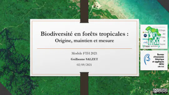 MSc course: Estimate, origins & theory on tropical tree diversity